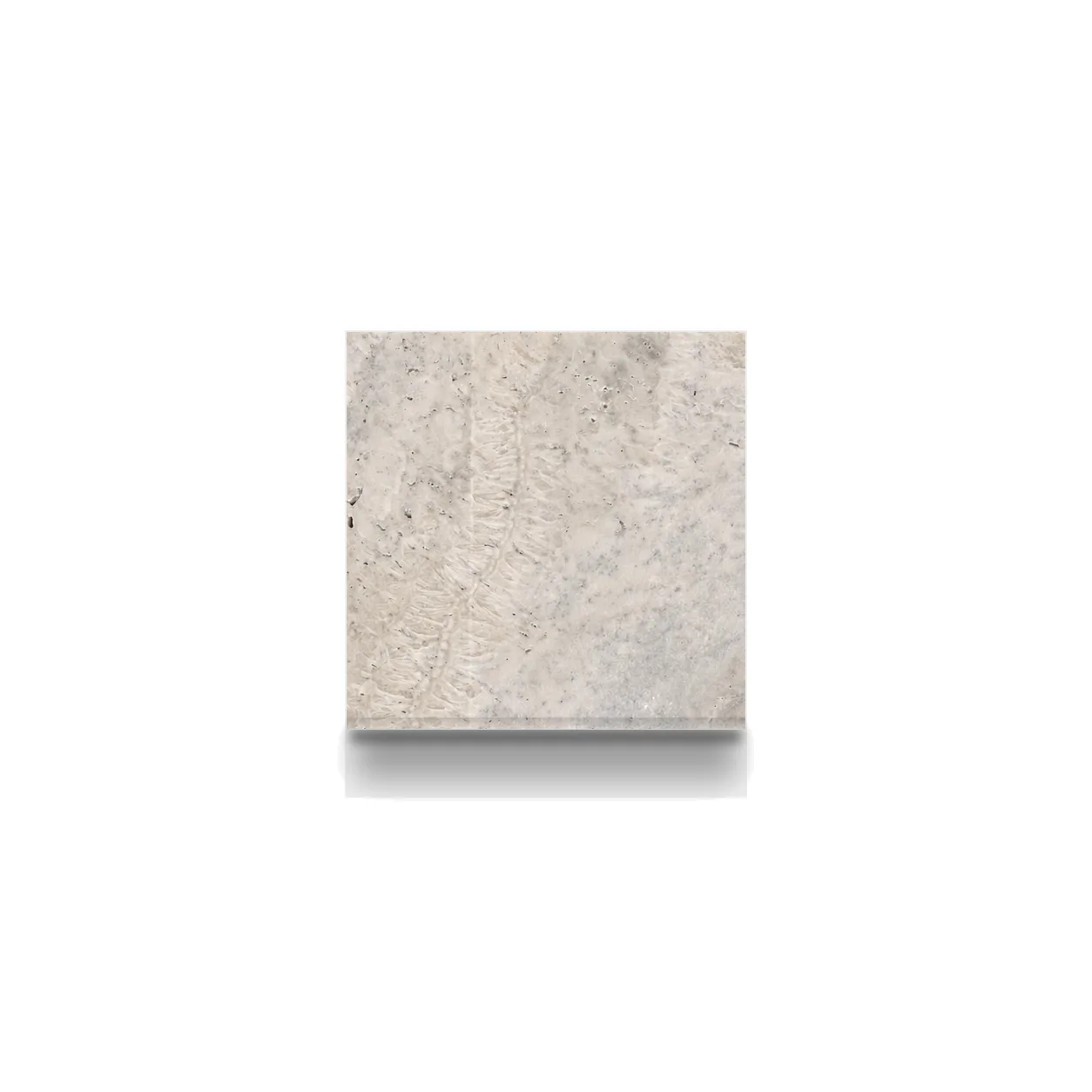 Cafe Premium Travertine Honed 6x6 3cm Modern Tumbled Paver